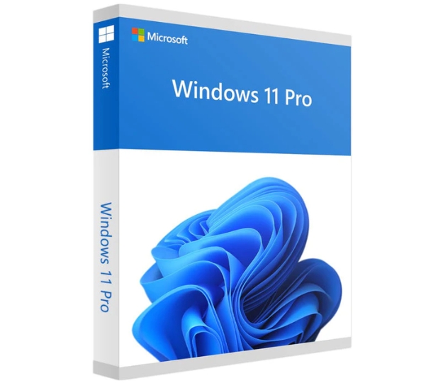 Windows 11 Pro, 1 Licencia